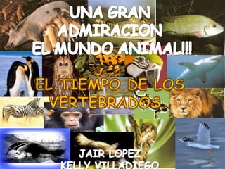 UNA GRAN ADMIRACION  EL MUNDO ANIMAL!!! EL TIEMPO DE LOS VERTEBRADOS… JAIR LOPEZ KELLY VILLADIEGO 