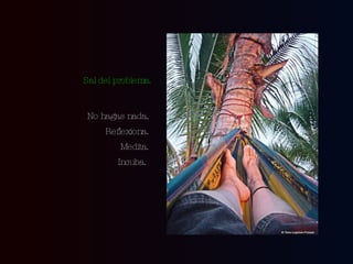 No hagas nada.  Reflexiona.  Medita.  Incuba.  Sal del problema. 