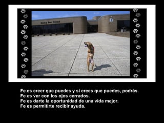 Fe es creer que puedes y si crees que puedes, podrás. Fe es ver con los ojos cerrados. Fe es darte la oportunidad de una vida mejor. Fe es permitirte recibir ayuda. 