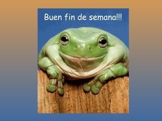 Buen fin de semana!!! 