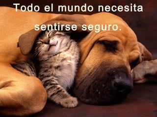 Todo el mundo necesita sentirse seguro. 
