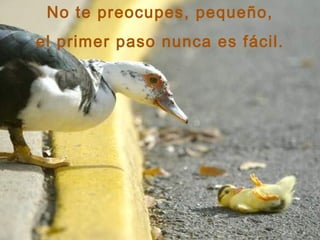 No te preocupes, pequeño, el primer paso nunca es fácil. 