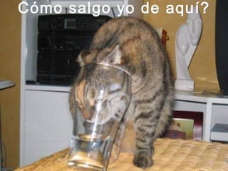 Cómo salgo yo de aquí? 