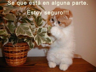 Se que está en alguna parte. Estoy seguro!!! 