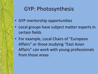 GYP: Photosynthesis GYP mentorship opportunities Local groups have subject matter experts in certain fields For example, Local Chairs of “European Affairs” or those studying “East Asian Affairs” can work with young professionals from those areas 