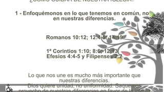 ¿COMO CUIDAR DE NUESTRA IGLESIA?
1 - Enfoquémonos en lo que tenemos en común, no
en nuestras diferencias.
Romanos 10:12; 12:4-5; 14:19
1ª Corintios 1:10; 8:6; 12:13
Efesios 4:4-5 y Filipenses 2:2
Lo que nos une es mucho más importante que
nuestras diferencias.
Dios quiere unidad, no uniformidad. Saquemos
 