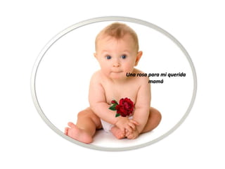 Una rosa para mi querida
mamá
 