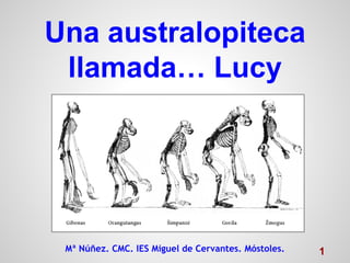 Una australopiteca
llamada… Lucy
Mª Núñez. CMC. IES Miguel de Cervantes. Móstoles. 1
 