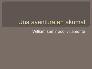 William samir pool villamonte Una aventura en akumal 