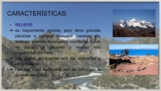 CARACTERÌSTICAS:
● RELIEVE:
➔ es mayormente agreste, pero tiene grandes
planicies o pampas llamadas mesetas alto
andinas. ademàs escarpadas cordilleras donde
se ubican los glaciares y nevado màs
importantes del Perù.
➔ Los suelos dominantes son los andosoles y
paramosoles.
➔ Los rìos y los riachuelos son de curso por lo
general tranquilos.
 