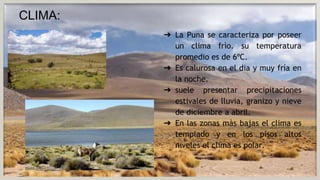 CLIMA:
➔ La Puna se caracteriza por poseer
un clima frìo. su temperatura
promedio es de 6ºC.
➔ Es calurosa en el dia y muy fría en
la noche.
➔ suele presentar precipitaciones
estivales de lluvia, granizo y nieve
de diciembre a abril.
➔ En las zonas màs bajas el clima es
templado y en los pisos altos
niveles el clima es polar.
 