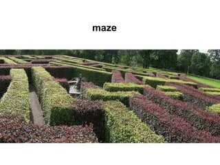 maze 