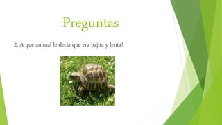 Preguntas
2. A que animal le decía que era bajita y lenta?
 