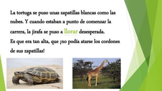 La tortuga se puso unas zapatillas blancas como las
nubes. Y cuando estaban a punto de comenzar la
carrera, la jirafa se puso a llorardesesperada.
Es que era tan alta, que ¡no podía atarse los cordones
de sus zapatillas!
 