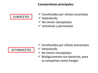EUMYCETES
ACTINMICETES
Características principales:
 Constituidos por células eucariotas
 Heterótrofa
 No tienen cloroplastos
 Unicelular y pluricelular
 Constituidos por células procariotas
 Heterótrofa
 No tienen cloroplastos
 Biológicamente son bacterias, pero
se comportan como hongos
 