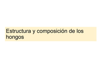 Estructura y composición de los
hongos
 