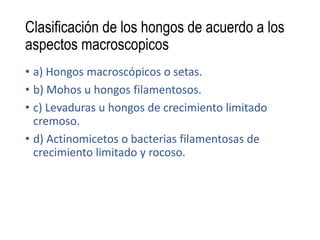Clasificación de los hongos de acuerdo a los
aspectos macroscopicos
• a) Hongos macroscópicos o setas.
• b) Mohos u hongos filamentosos.
• c) Levaduras u hongos de crecimiento limitado
cremoso.
• d) Actinomicetos o bacterias filamentosas de
crecimiento limitado y rocoso.
 