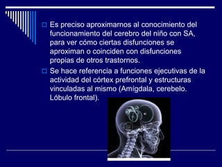  Es preciso aproximarnos al conocimiento del
funcionamiento del cerebro del niño con SA,
para ver cómo ciertas disfunciones se
aproximan o coinciden con disfunciones
propias de otros trastornos.
 Se hace referencia a funciones ejecutivas de la
actividad del córtex prefrontal y estructuras
vinculadas al mismo (Amígdala, cerebelo.
Lóbulo frontal).
 