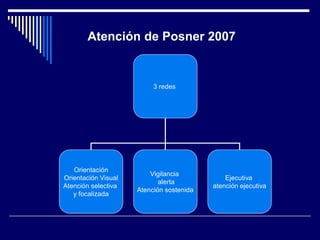 3 redes
Orientación
Orientación Visual
Atención selectiva
y focalizada
Vigilancia
alerta
Atención sostenida
Ejecutiva
atención ejecutiva
Atención de Posner 2007
 