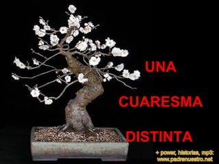 UNA CUARESMA DISTINTA   