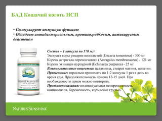 Кошачий коготь НСП | PPT