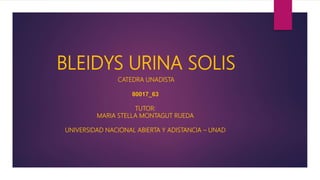 BLEIDYS URINA SOLIS
CATEDRA UNADISTA
80017_63
TUTOR:
MARIA STELLA MONTAGUT RUEDA
UNIVERSIDAD NACIONAL ABIERTA Y ADISTANCIA – UNAD
 