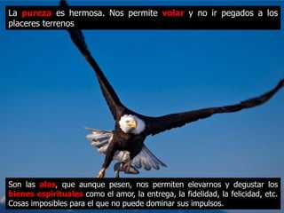 La pureza es hermosa. Nos permite volar y no ir pegados a los
placeres terrenos




Son las alas, que aunque pesen, nos permiten elevarnos y degustar
los bienes espirituales como el amor, la entrega, la fidelidad, etc.
Cosas imposibles para el que no puede dominar sus impulsos.
 