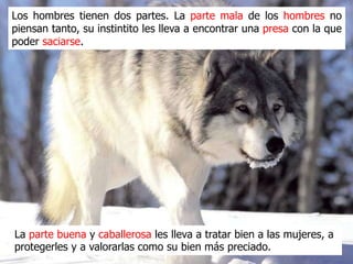Los hombres tienen dos partes. La parte mala de los hombres les
lleva a ver a las mujeres como una presa con la que poder saciarse.




La parte buena y caballerosa les lleva a tratar bien a las mujeres, a
protegerles y a valorarlas como su bien más preciado.
 