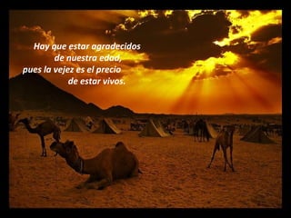 Hay que estar agradecidos de nuestra edad, pues la vejez es el precio  de estar vivos. 