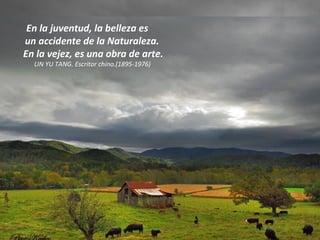 En la juventud, la belleza es  un accidente de la Naturaleza.  En la vejez, es una obra de arte. LIN YU TANG. Escritor chino.(1895-1976)   