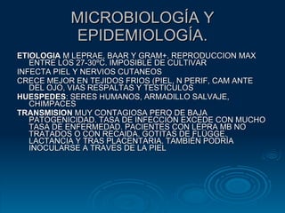 MICROBIOLOGÍA Y EPIDEMIOLOGÍA. ETIOLOGIA  M LEPRAE, BAAR Y GRAM+. REPRODUCCION MAX ENTRE LOS 27-30ºC. IMPOSIBLE DE CULTIVAR INFECTA PIEL Y NERVIOS CUTANEOS CRECE MEJOR EN TEJIDOS FRIOS (PIEL, N PERIF, CAM ANTE DEL OJO, VIAS RESPALTAS Y TESTICULOS HUESPEDES : SERES HUMANOS, ARMADILLO SALVAJE, CHIMPACES  TRANSMISION  MUY CONTAGIOSA PERO DE BAJA PATOGENICIDAD. TASA DE INFECCIÓN EXCEDE CON MUCHO TASA DE ENFERMEDAD. PACIENTES CON LEPRA MB NO TRATADOS O CON RECAIDA. GOTITAS DE FLÜGGE. LACTANCIA Y TRAS PLACENTARIA. TAMBIÉN PODRÍA INOCULARSE A TRAVES DE LA PIEL 