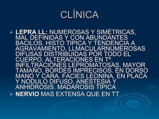 CLÍNICA LEPRA LL:  NUMEROSAS Y SIMÉTRICAS, MAL DEFINIDAS Y CON ABUNDANTES BACILOS. HISTO TIPICA Y TENDENCIA A AGRAVAMIENTO. LLMACULARNUMEROSAS DIFUSAS DISTRIBUIDAS POR TODO EL CUERPO, ALTERACIONES EN Tª. INFILTRACIONES LEPROMATOSAS. MAYOR TAMAÑO, BORDES IMPRECISOS. EN DORSO MANO Y CARA. FACIES LEONINA, EN PLACA Y NODULO DIFUSO, ANESTESIA Y ANHIDROSIS. MADAROSIS TÍPICA NERVIO  MAS EXTENSA QUE EN TT 