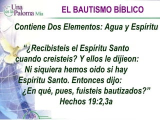 EL BAUTISMO BÍBLICO Contiene Dos Elementos: Agua y Espíritu “ ¿Recibisteis el Espíritu Santo  cuando creisteis? Y ellos le dijieon:  Ni siquiera hemos oido si hay  Espíritu Santo. Entonces dijo:  ¿En qué, pues, fuisteis bautizados?” Hechos 19:2,3a 
