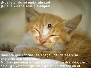 ¡Hoy te envío mi mejor abrazo!  ¡Que la vida te sonría siempre! Siempre que sonríes, se apaga una tristeza y se enciende una esperanza.  Muchas personas entran y salen de nuestra vida, pero sólo l@s verdader@s amig@s dejan marcas en el corazón. 