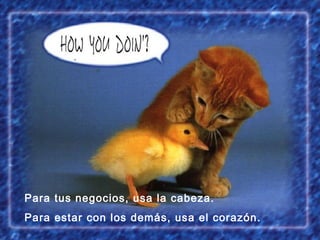 Para tus negocios, usa la cabeza.  Para estar con los demás, usa el corazón. 