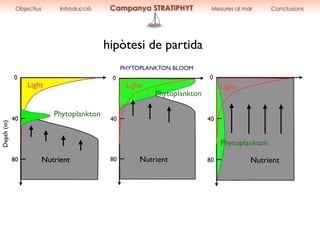 PHYTOPLANKTON BLOOM
hipòtesi de partida
Objectius Introducció Campanya STRATIPHYT Mesures al mar Conclusions
 