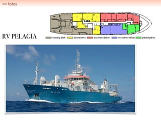 >> fotos
RV PELAGIA
 