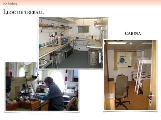 Lloc de treball
cabina
>> fotos
 
