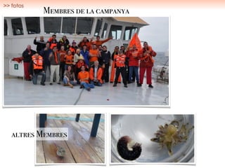 Membres de la campanya
altres Membres
>> fotos
 