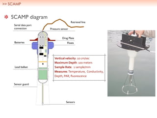 SCAMP diagram
Sensor guard
Floats
Drag Plate
Pressure sensor
Sensors
Batteries
Serial data port
connection
Lead ballast
Retrieval line
Vertical)velocity:"10"cm/sec
Maximum)Depth:"100"meters"
Sample)Rate:""1"sample/mm
Measures:"Temperature,""Conductivity,"
Depth,"PAR,"ﬂuorescence
>> SCAMP
 