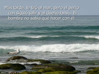Más tarde, le tiró al mar, pero el perro
 con siguió salir y al dueño lamió. El
 hombre no sabía qué hacer con él.
 