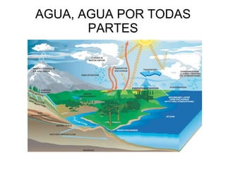 AGUA, AGUA POR TODAS PARTES 