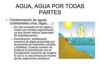 AGUA, AGUA POR TODAS PARTES Contaminación de aguas continentales (ríos, lagos, …) Es más acusada en los lagos o medio con escasa regeneración, ya que tienen menos capacidad de autodepuración.  Eutrofización: proliferación excesiva de algas propiciada por el aumento de nutrientes (nitratos y fosfatos). Cuando mueren se produce la putrefacción con el consiguiente consumo de oxígeno lo que a su vez provoca la muerte de los organismos acuáticos.  