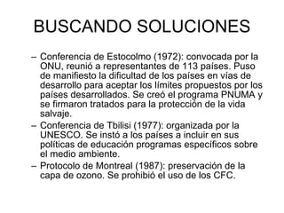 BUSCANDO SOLUCIONES Conferencia de Estocolmo (1972): convocada por la ONU, reunió a representantes de 113 países. Puso de manifiesto la dificultad de los países en vías de desarrollo para aceptar los límites propuestos por los países desarrollados. Se creó el programa PNUMA y se firmaron tratados para la protección de la vida salvaje.  Conferencia de Tbilisi (1977): organizada por la UNESCO. Se instó a los países a incluir en sus políticas de educación programas específicos sobre el medio ambiente.  Protocolo de Montreal (1987): preservación de la capa de ozono. Se prohibió el uso de los CFC. 
