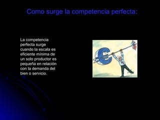 Como surge la competencia perfecta:
La competencia
perfecta surge
cuando la escala es
eficiente mínima de
un solo productor es
pequeña en relación
con la demanda del
bien o servicio.
 