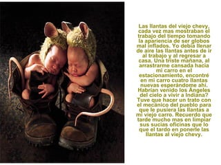 Las llantas del viejo chevy, cada vez mas mostraban el trabajo del tiempo tomando la apariencia de ser globos mal inflados. Yo debía llenar de aire las llantas antes de ir al trabajo y al regresar a casa. Una triste mañana, al arrastrarme cansada hacia mi carro en el estacionamiento, encontré en mi carro cuatro llantas nuevas esperándome ahí. Habrían venido los Ángeles del cielo a vivir a Indiana? Tuve que hacer un trato con el mecánico del pueblo para que le pusiera las llantas a mi viejo carro. Recuerdo que tarde mucho mas en limpiar sus sucias oficinas que lo que el tardo en ponerle las llantas al viejo chevy. 