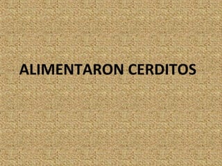 ALIMENTARON CERDITOS
 