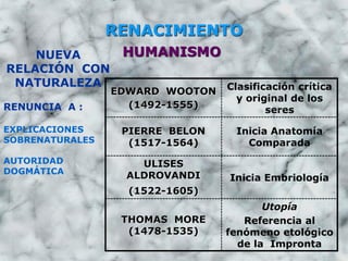 RENACIMIENTO
HUMANISMO
EDWARD WOOTON
(1492-1555)
Clasificación crítica
y original de los
seres
PIERRE BELON
(1517-1564)
Inicia Anatomía
Comparada
ULISES
ALDROVANDI
(1522-1605)
Inicia Embriología
THOMAS MORE
(1478-1535)
Utopía
Referencia al
fenómeno etológico
de la Impronta
NUEVA
RELACIÓN CON
NATURALEZA
RENUNCIA A :
EXPLICACIONES
SOBRENATURALES
AUTORIDAD
DOGMÁTICA
 