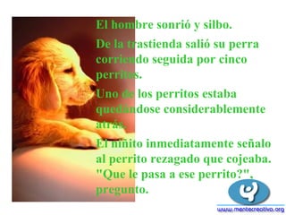 El hombre sonrió y silbo.  De la trastienda salió su perra corriendo seguida por cinco perritos.  Uno de los perritos estaba quedándose considerablemente atrás.  El niñito inmediatamente señalo al perrito rezagado que cojeaba. "Que le pasa a ese perrito?", pregunto.  