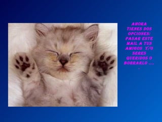 Ahora tienes dos opciones: pasar este mail a tus amigos Y/o seres queridos o borrarlo .....